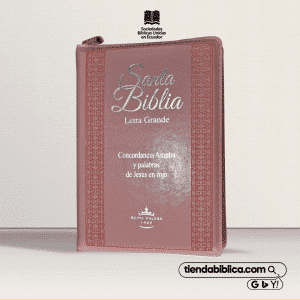 Reina Valera 1960 RVR056CLGPJRZTI 7899938406960