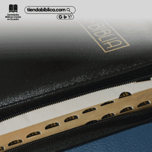 RVR045cZTILMaPJRAyudaQR-Negro-455960-A2