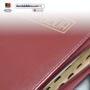 RVR025cZTILMaPJR-VINO-456578-A2