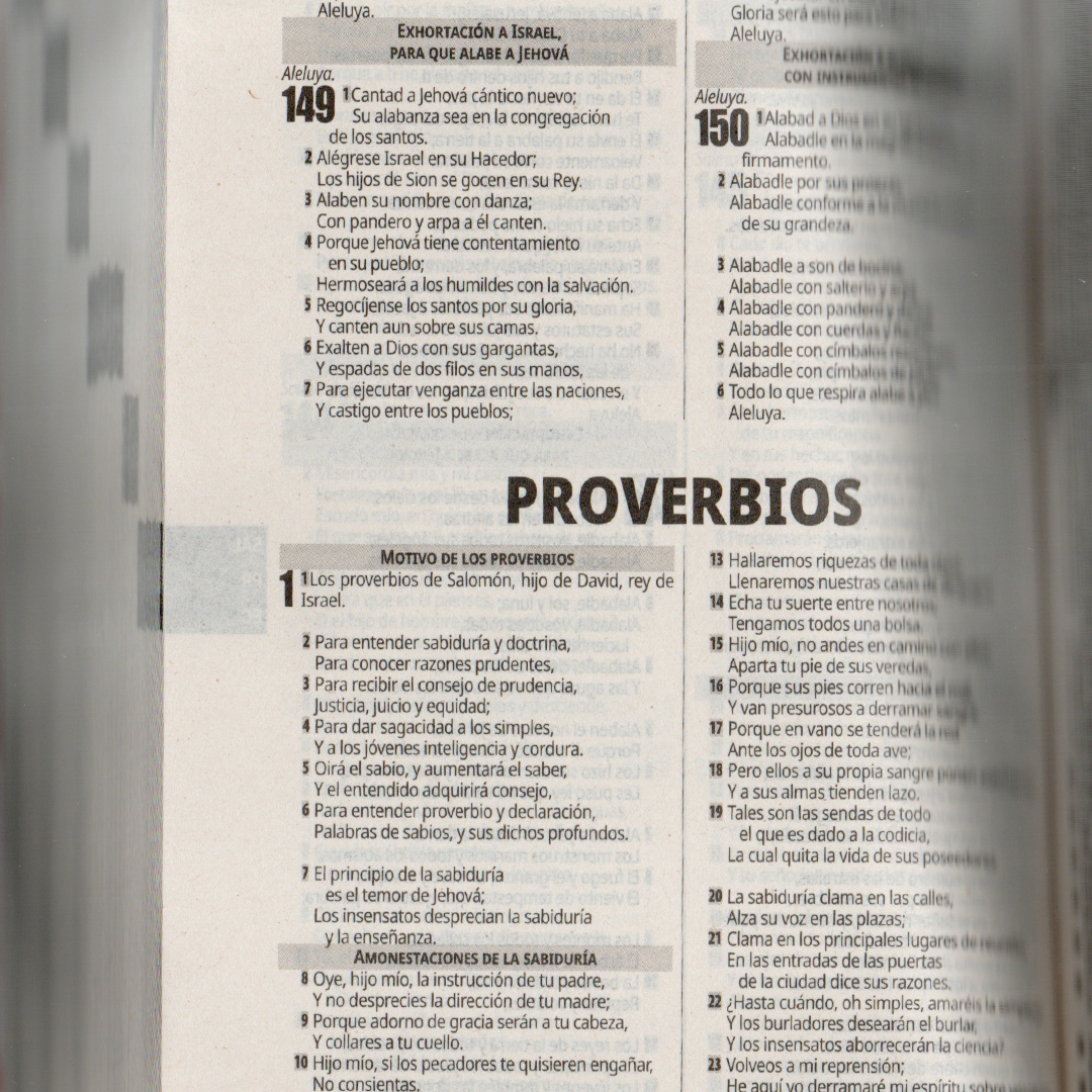 Santa Biblia Reina Valera 1960 Esa Soy yo 7899938425978