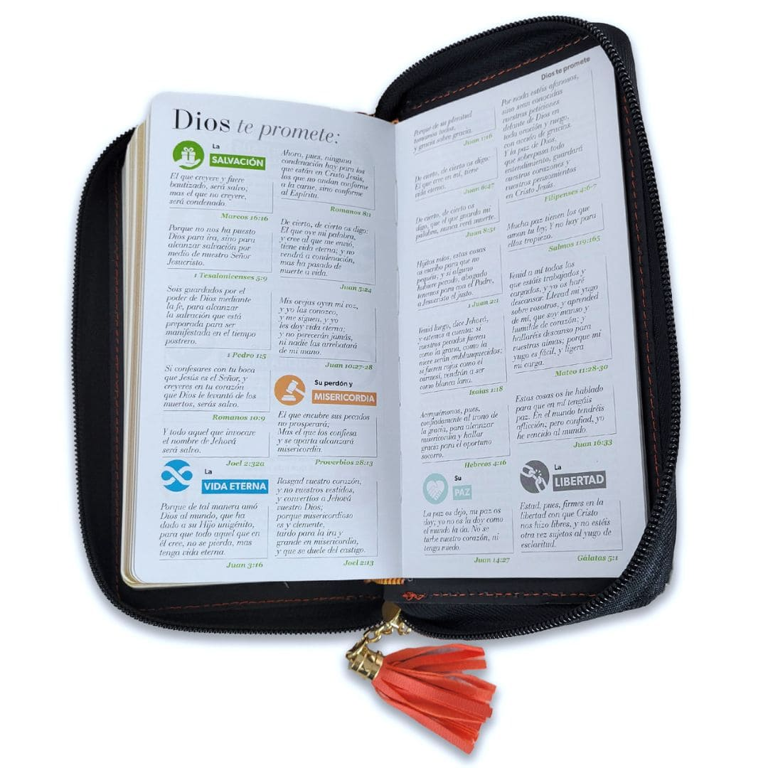 RVR60 Biblia Chequera con Cierre mundo biblia