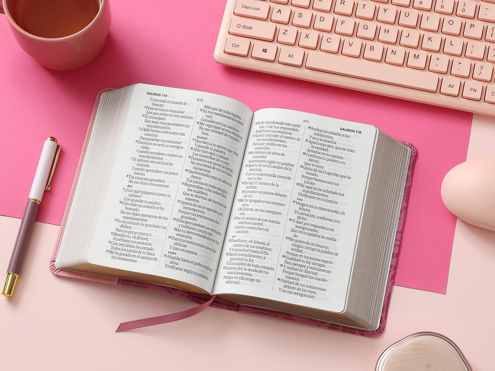 Biblia RVR60 Tamaño Compacto Símil Piel Bicolor Rosa/Rosa - Imagen 5