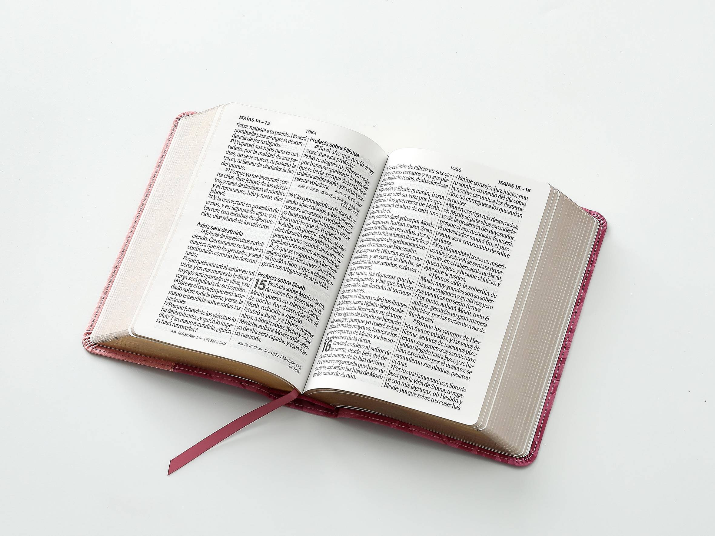 Biblia RVR60 Tamaño Compacto Símil Piel Bicolor Rosa/Rosa - Imagen 8