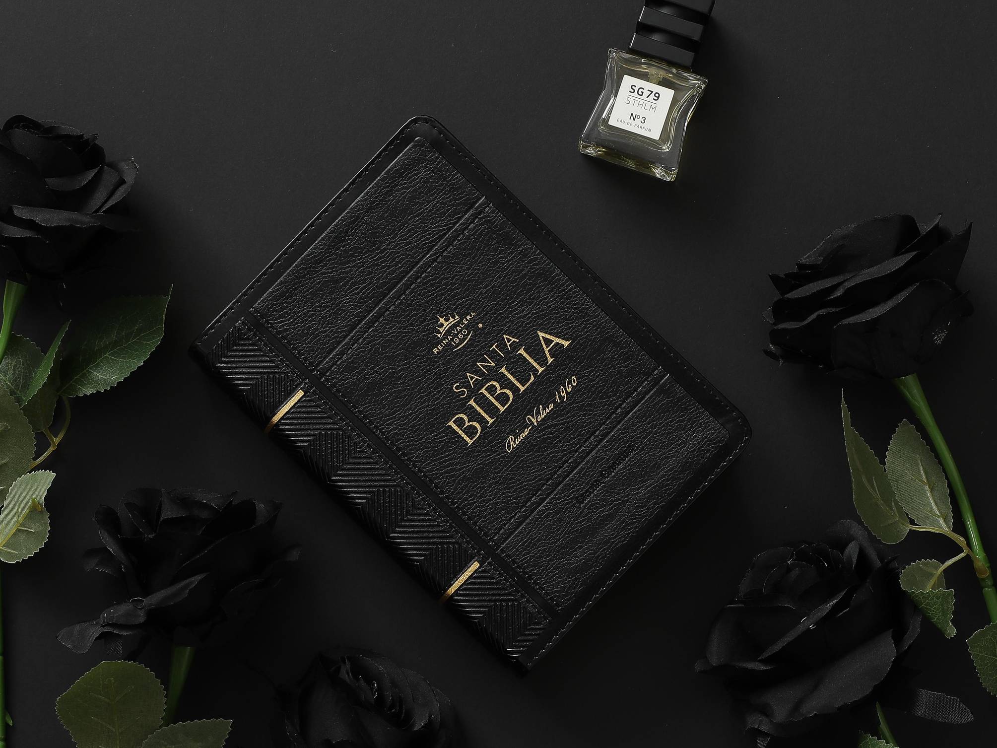 Biblia RVR60 Letra Grande 12 Puntos Símil Piel Negro - Colección Clásica Portátil - Imagen 2