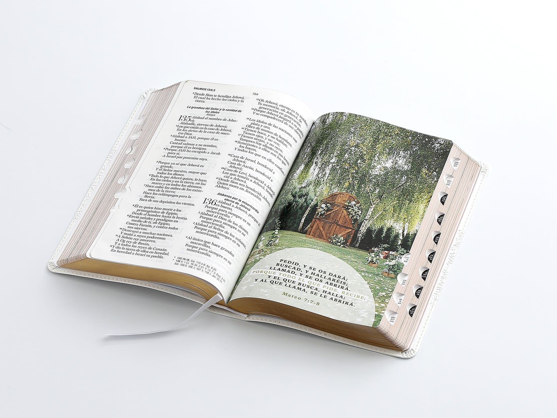 Biblia Especial de Bodas - Blanco Canto Dorado con Índice y Caja - Imagen 4