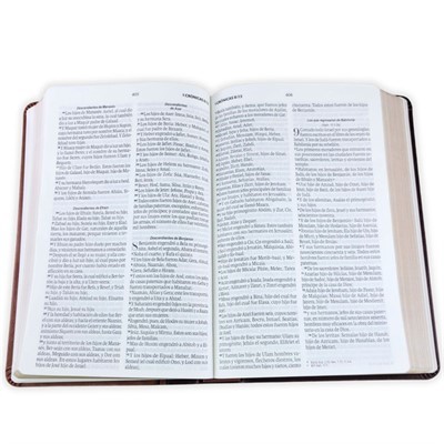 Biblia Obsequios y Premios RVR60 - Café Refinado - Imagen 3