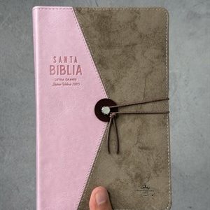Biblia Vintage RVR60 - Rosa/Café