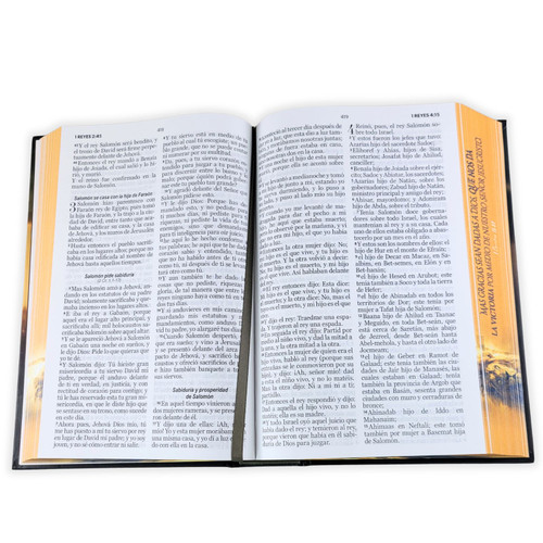 Biblia RVR60 065c Tapa Dura - León Victoria - Imagen 4