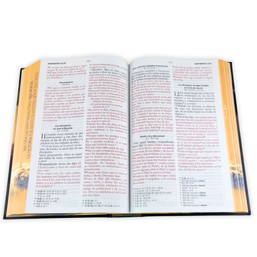 Biblia RVR60 065c Tapa Dura - León Victoria - Imagen 5