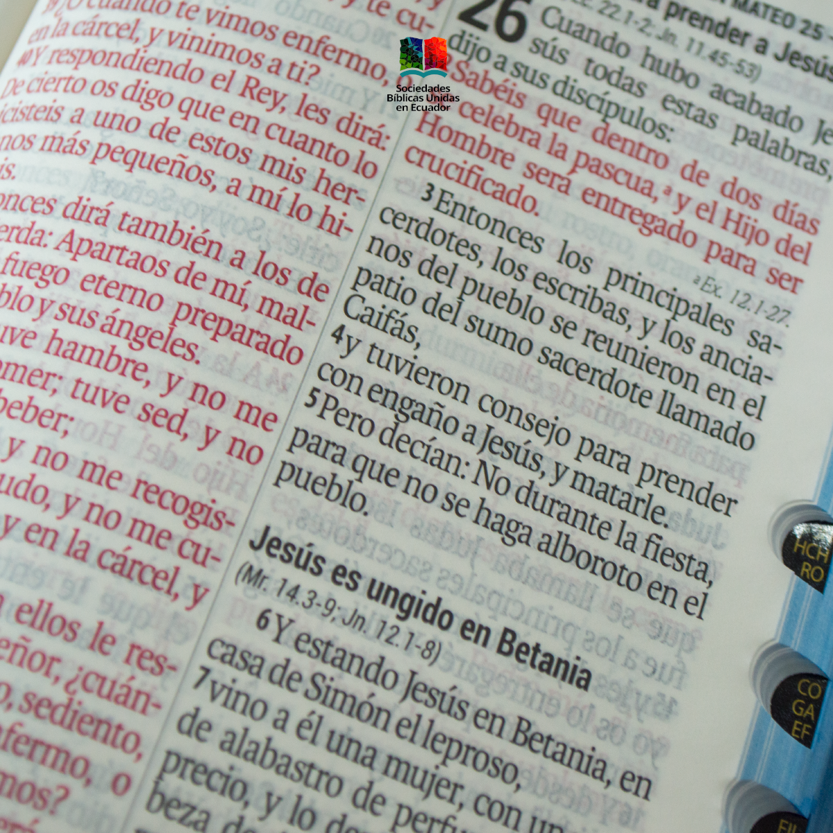 Biblia Reina Valera 1960 Letra gigante con Zipper e índice - Imagen 3