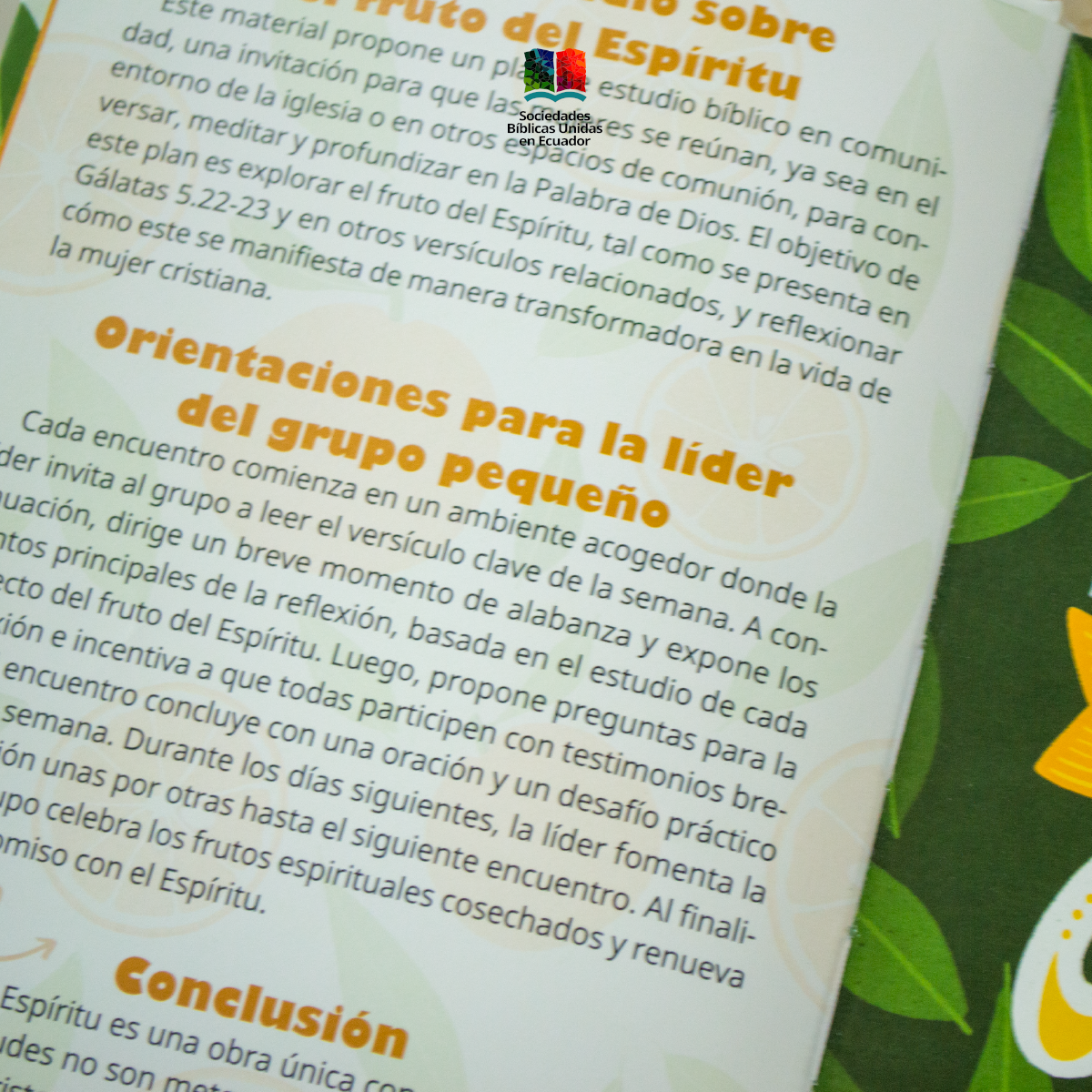 Biblia Reina Valera 1960 El Fruto del Espíritu 7899938431238