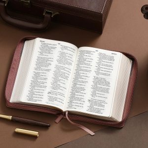 Biblia RVR60 Tricolor Café/Negro/Café, Tamaño Portátil Letra 10 Puntos PJR