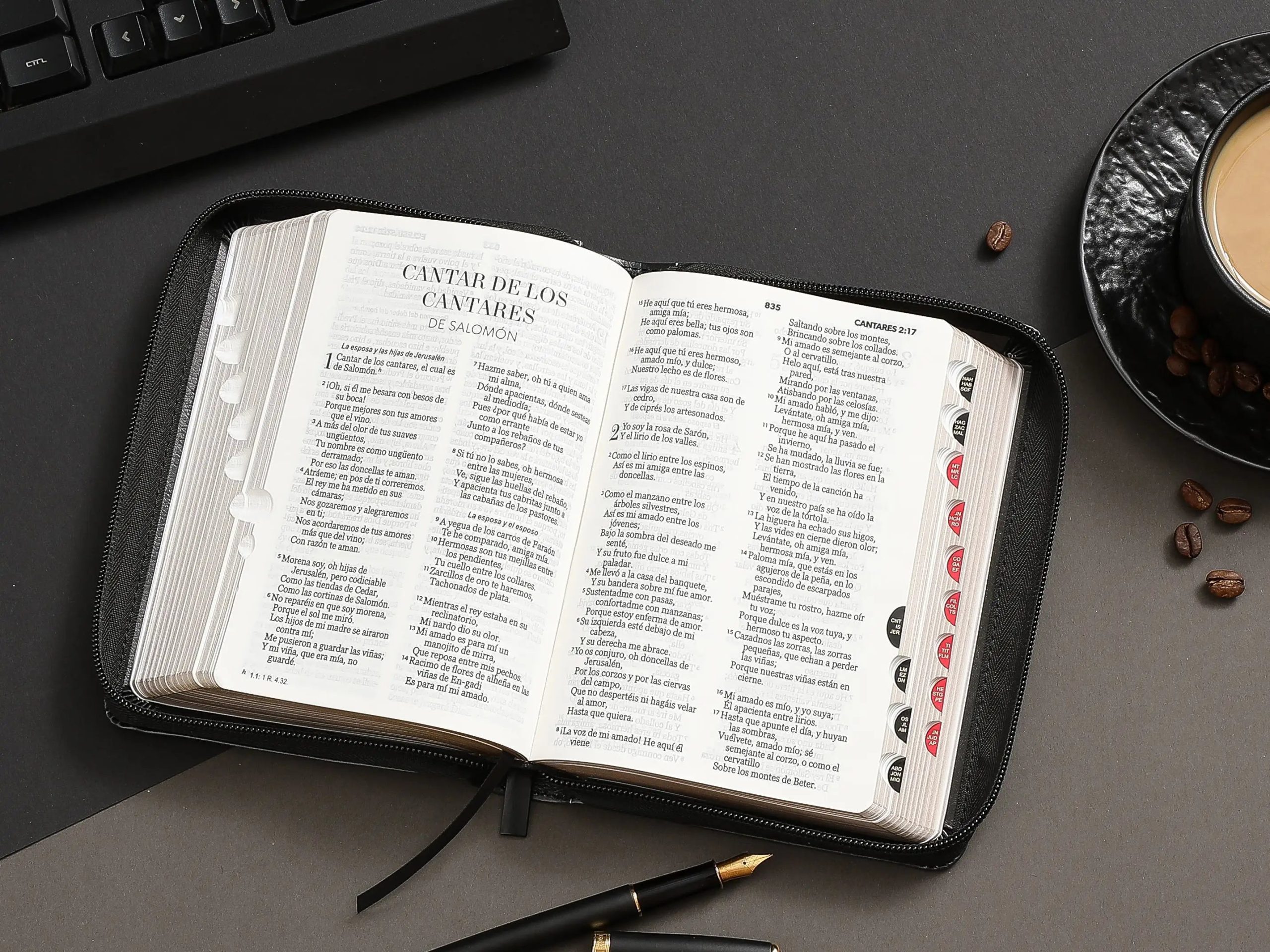 Biblia RVR60 Águila 2, Tamaño Portátil Letra 10 Puntos PJR con Índice