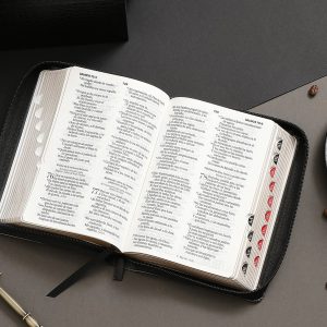Biblia RVR60 Arca de la Alianza, Tamaño Portátil Letra 10 Puntos PJR con Índice