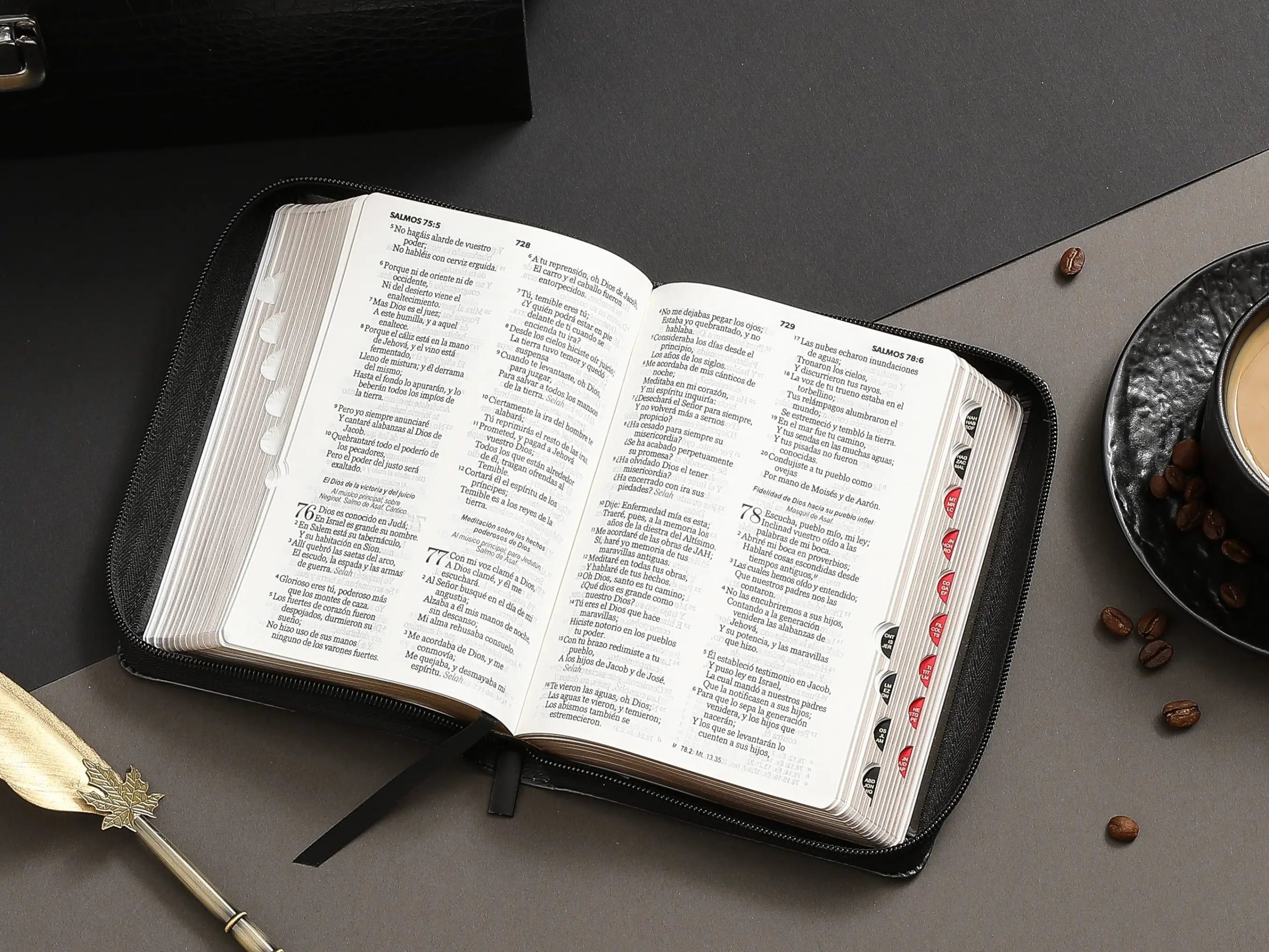 Biblia RVR60 Arca de la Alianza, Tamaño Portátil Letra 10 Puntos PJR con Índice