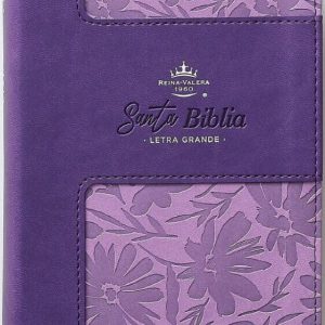 Biblia RVR60 Tamaño Compacto Símil Piel Bicolor Lila/Lila