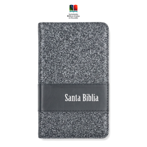 Biblia Reina Valera 1960 Colección Chequera brillosa