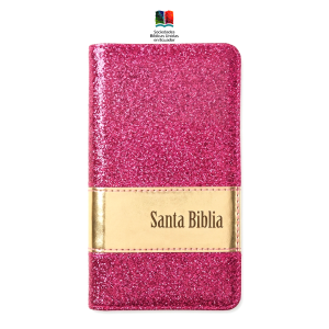 Biblia Reina Valera 1960 Colección Chequera brillosa