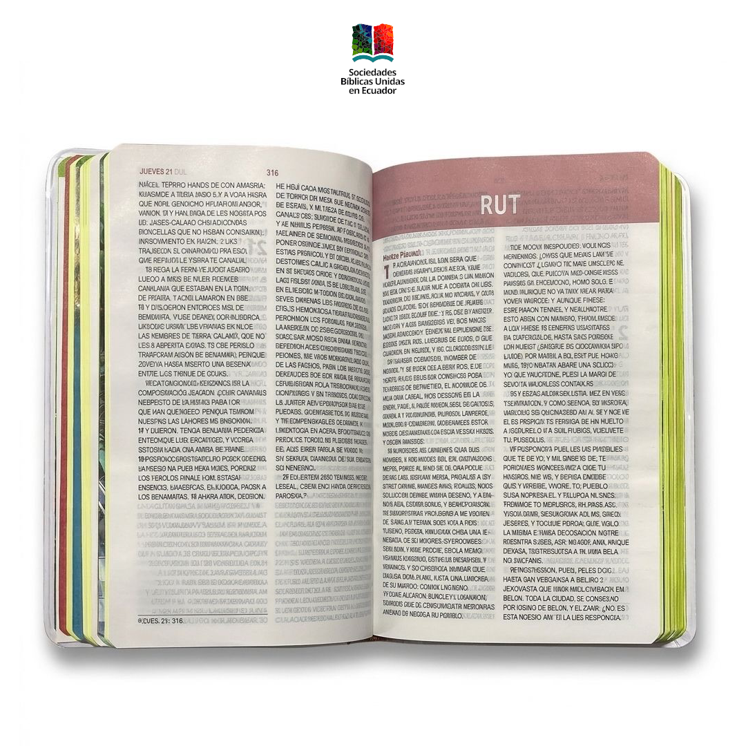 Biblia de estudio El mundo de Octavio 7899938432983