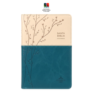 Biblia Reina Valera 1960 Letra grande Colección Bitono