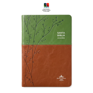 Biblia Reina Valera 1960 Letra grande Colección Bitono