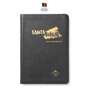 Biblia Reina Valera 1960 Letra grande Colección Juvenil